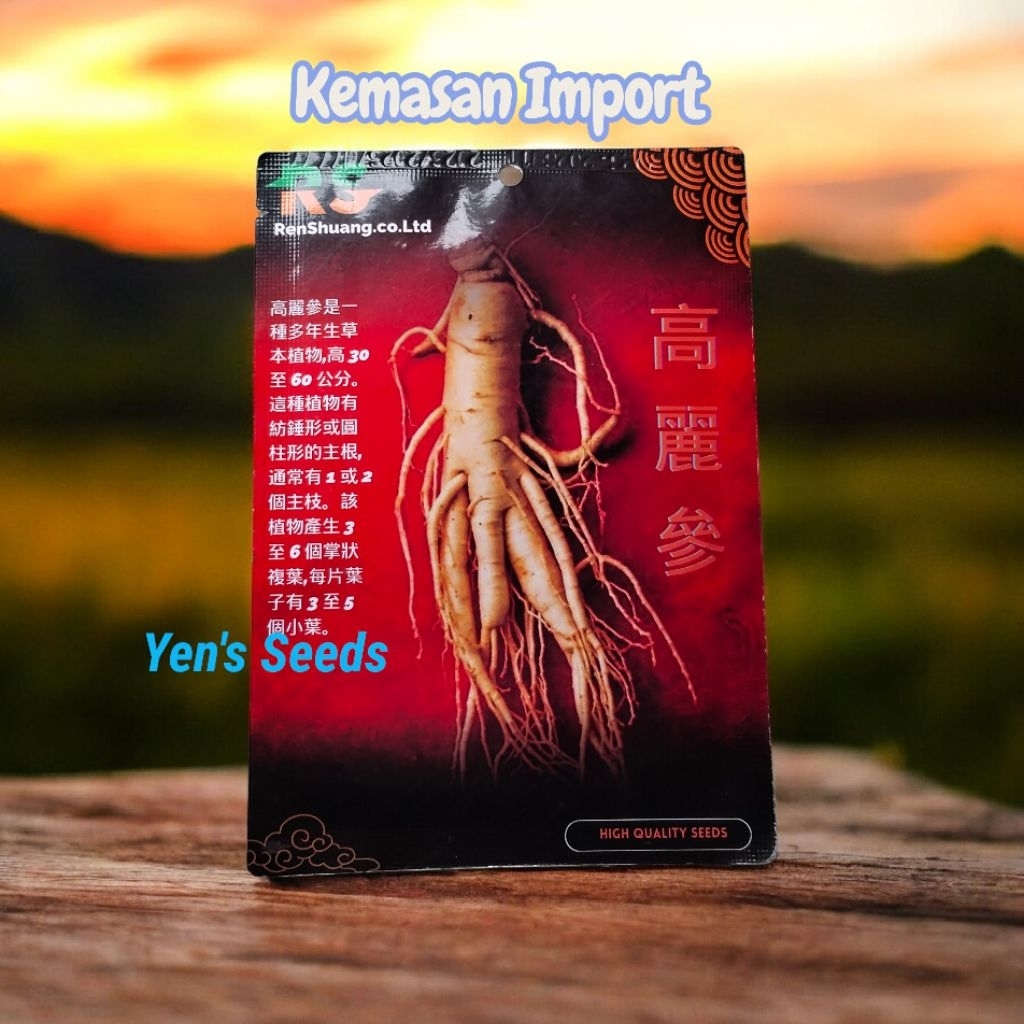 Kemasan Import/Benih Ginseng Korea ( 50 Butir )