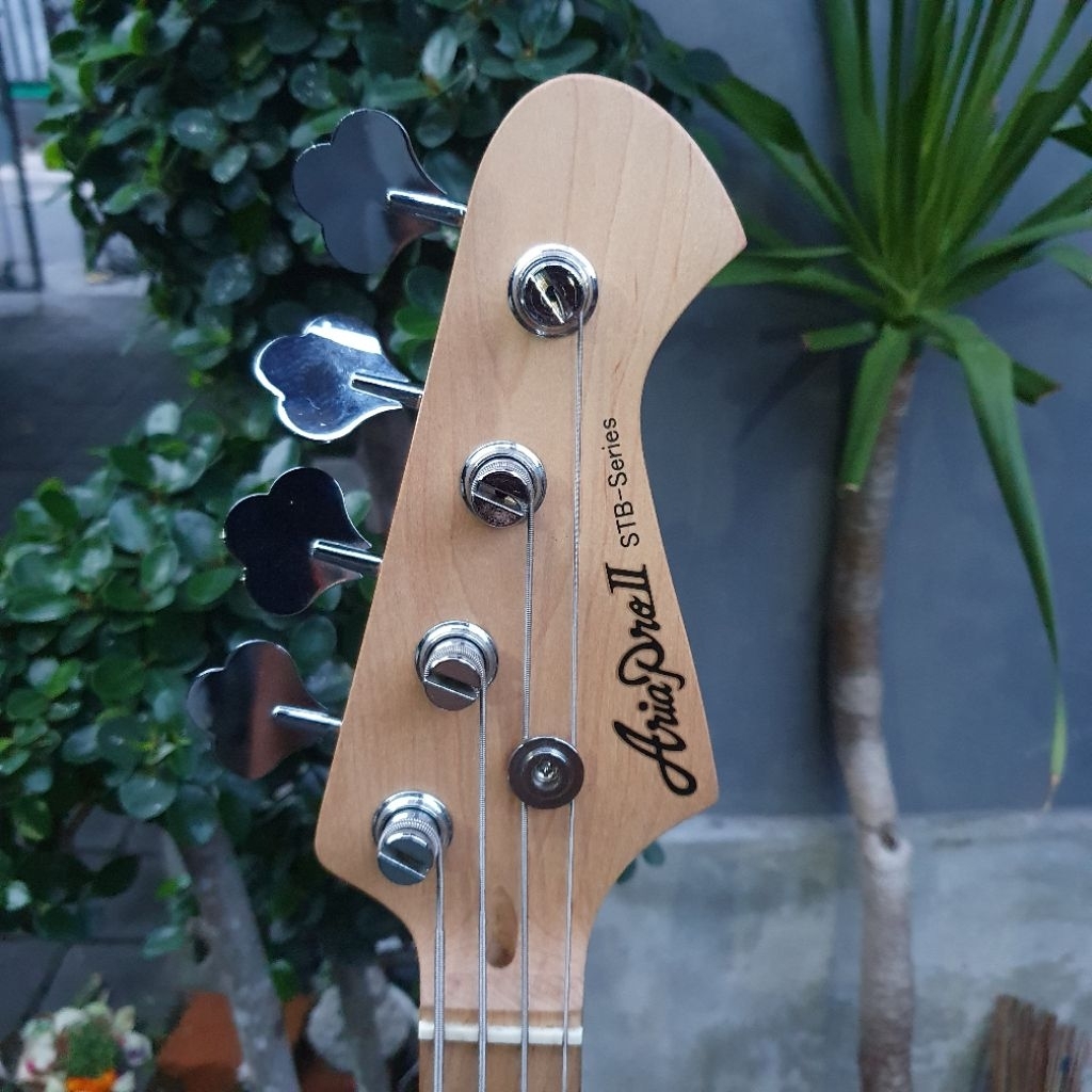 Bass AriaPro II STB Series