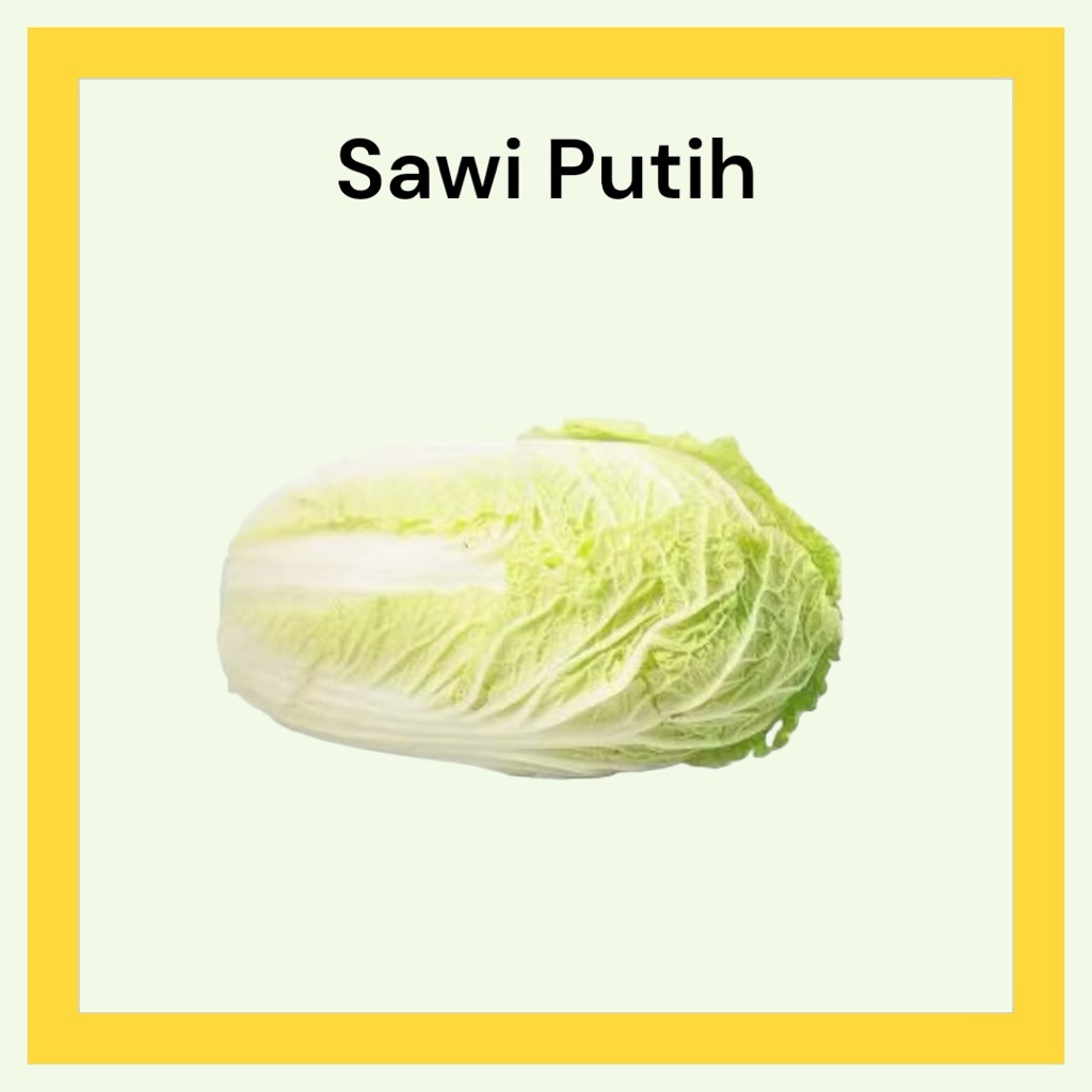 sawi putih/sawi box/ sawi slobor