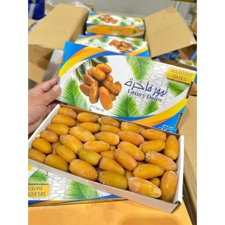 Kurma Muda Fresh Kurma Ruthob Ruthab Libya Isi 1kg Selected Libyan Dates