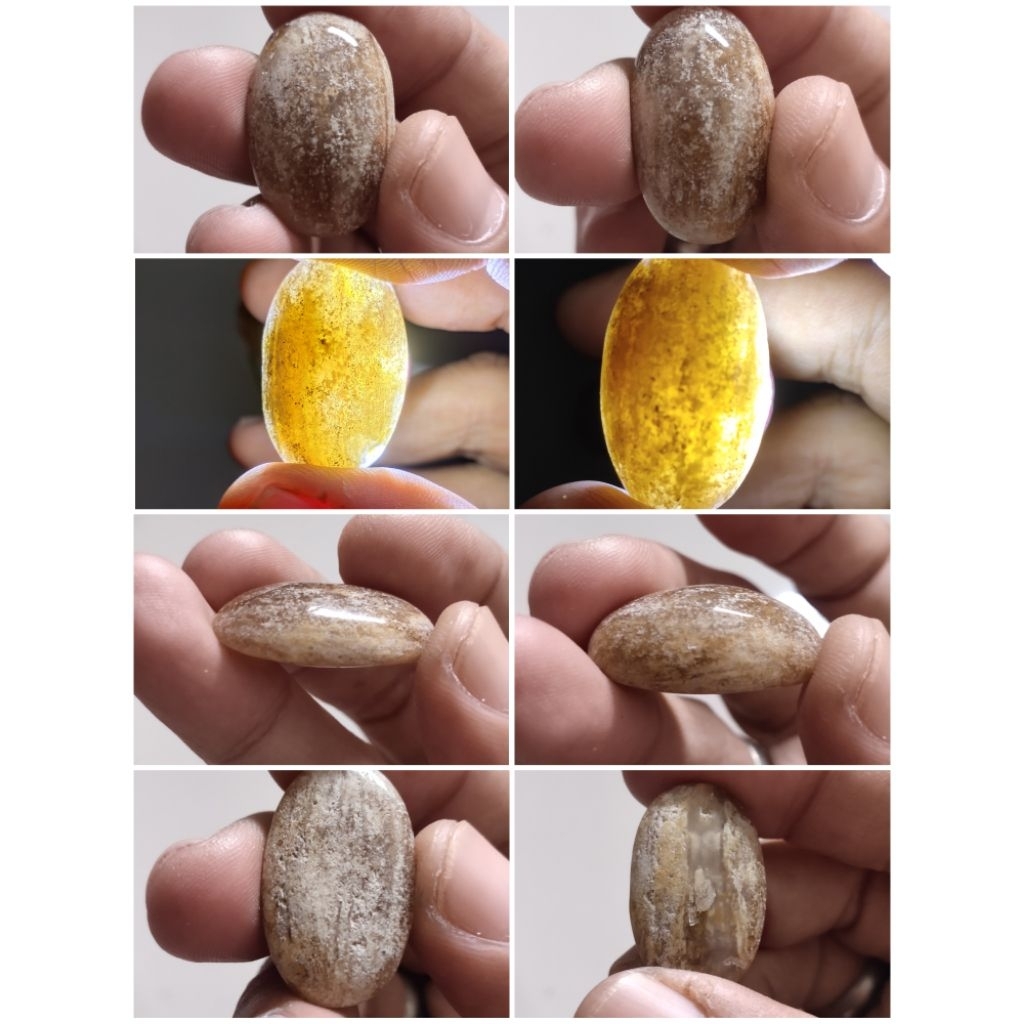 2pcs fosil kayu kristal tembus senter