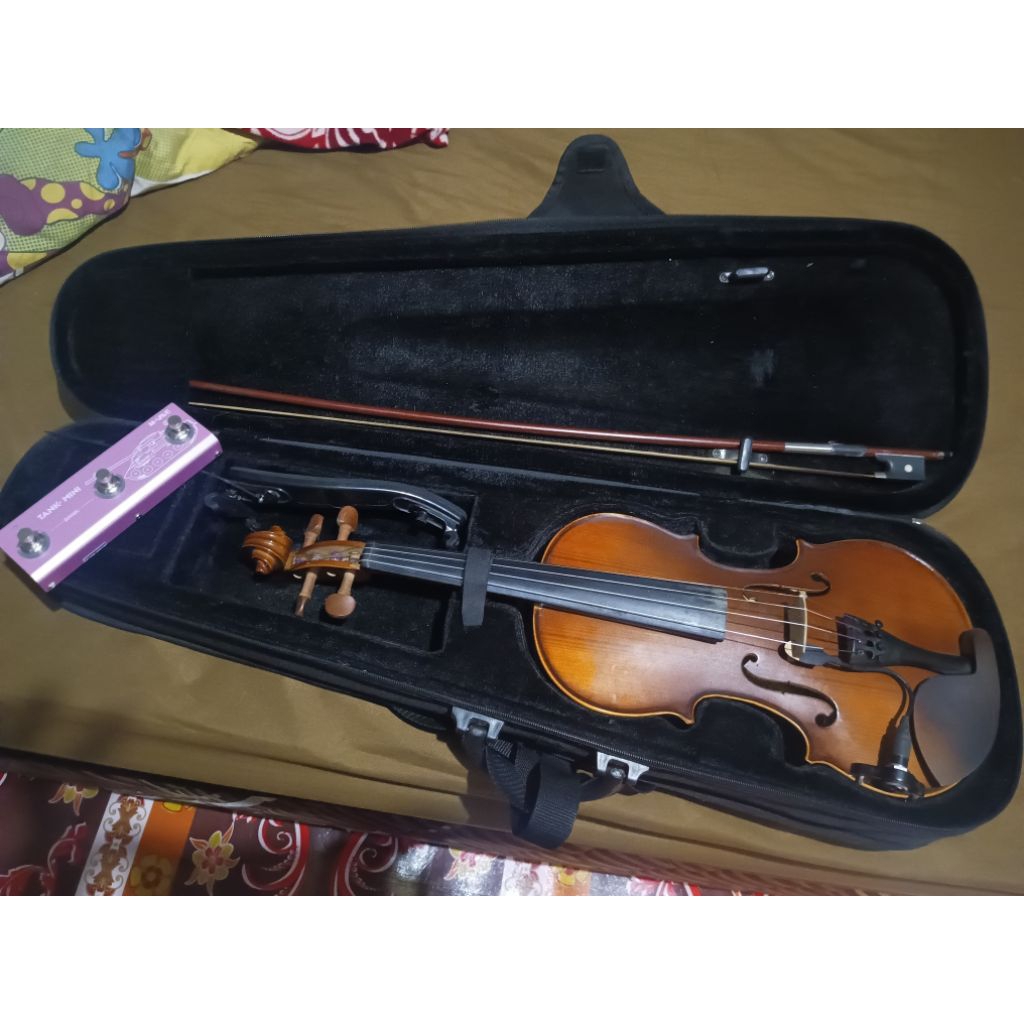 violin shifen 401 dan efek gitar Tank G mini