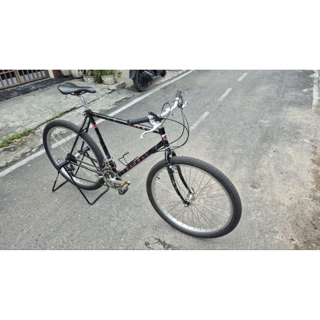 Sepeda MTB Vintage Federal Poema