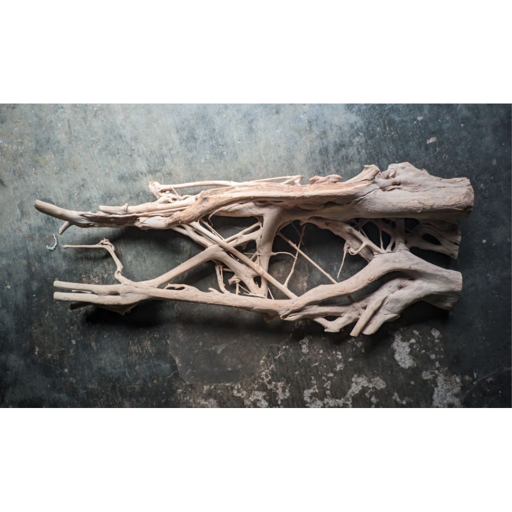 kayu hardscape 100cm aquascape background aquarium