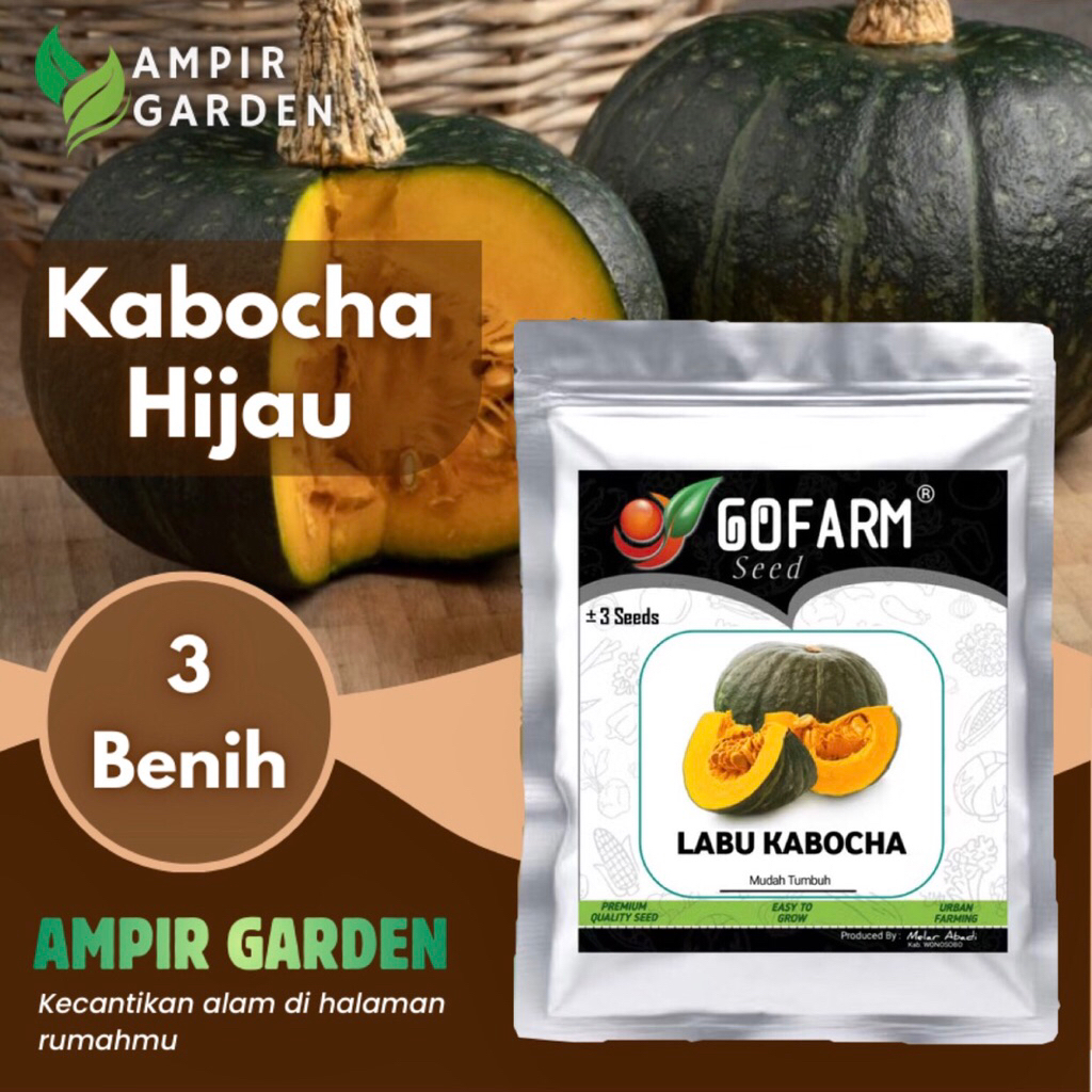 Benih Labu KABOCHA HIJAU Kemasan Premium GOFARM / Bibit Tanaman Labu Jepang Kabocha Hijau Pulen / Wa