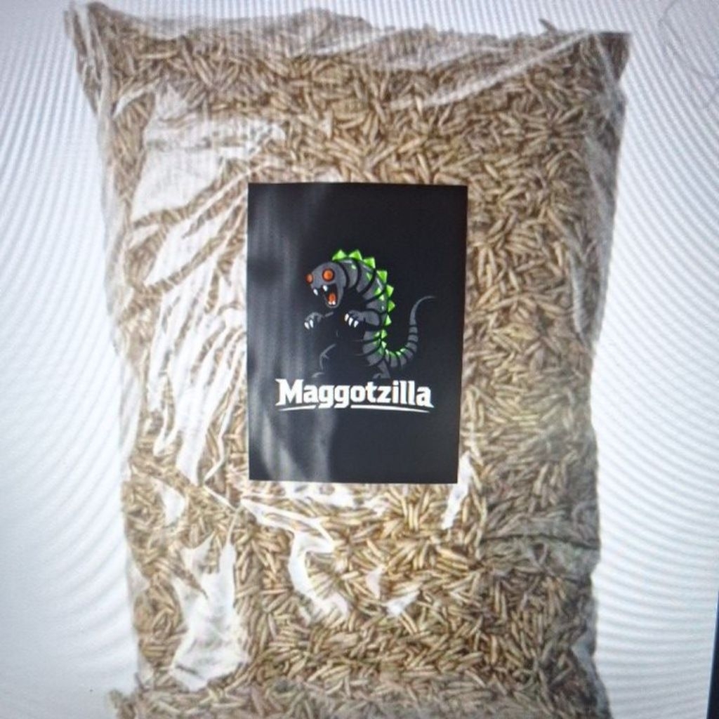 Maggot Kering (Dried Maggot)