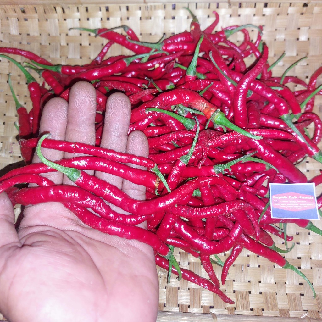 Cabai MERAH KERITING - 250 Gram - Lapak Pak Jamal (LPJ)