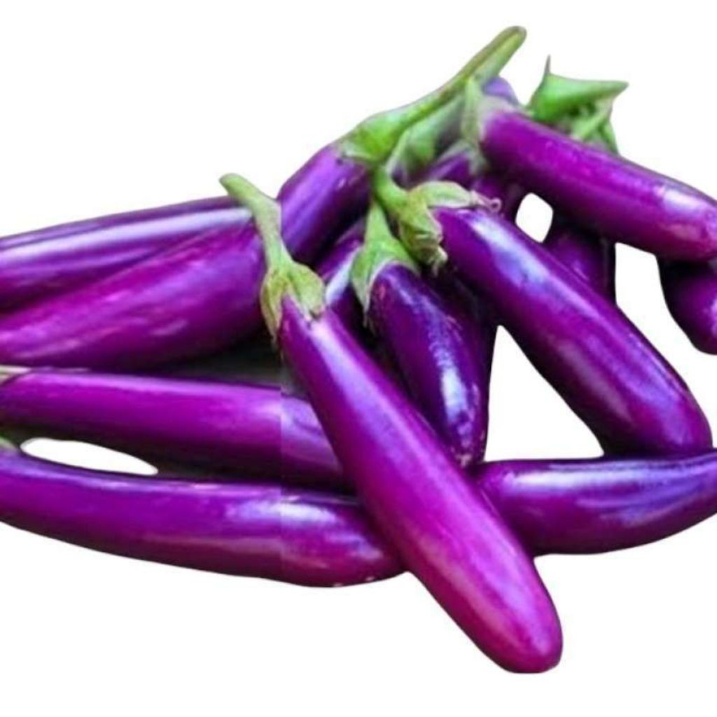 Terong Ungu segar - sayur instan palembang