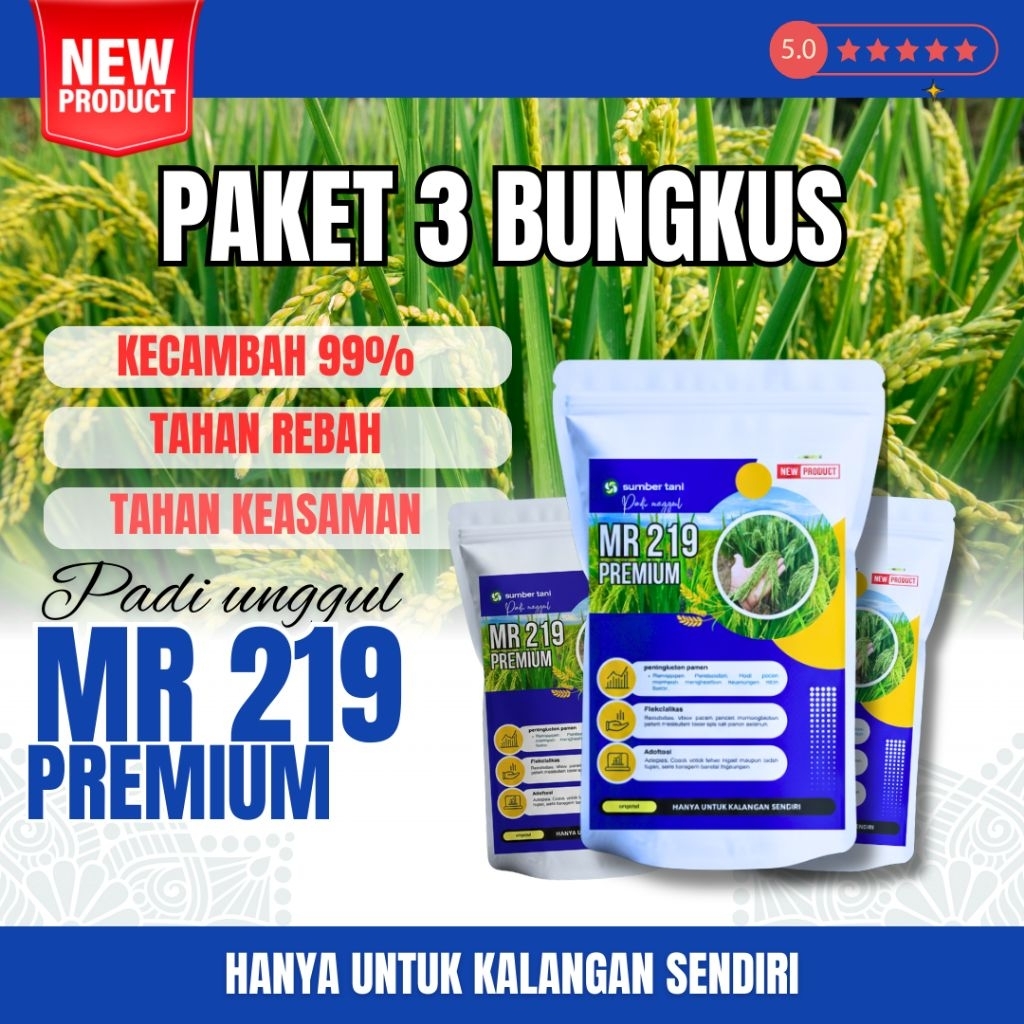 BENIH PADI MR 219 ASLI KEMASAN 3KG ( benih padi mr 219 umur 85-95 hst)