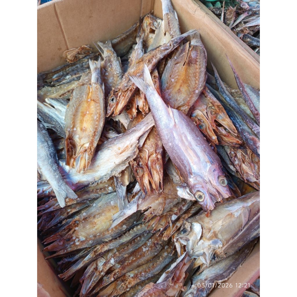 Ikan Belah / Ikan belah belanak / Ikan belah TT kering