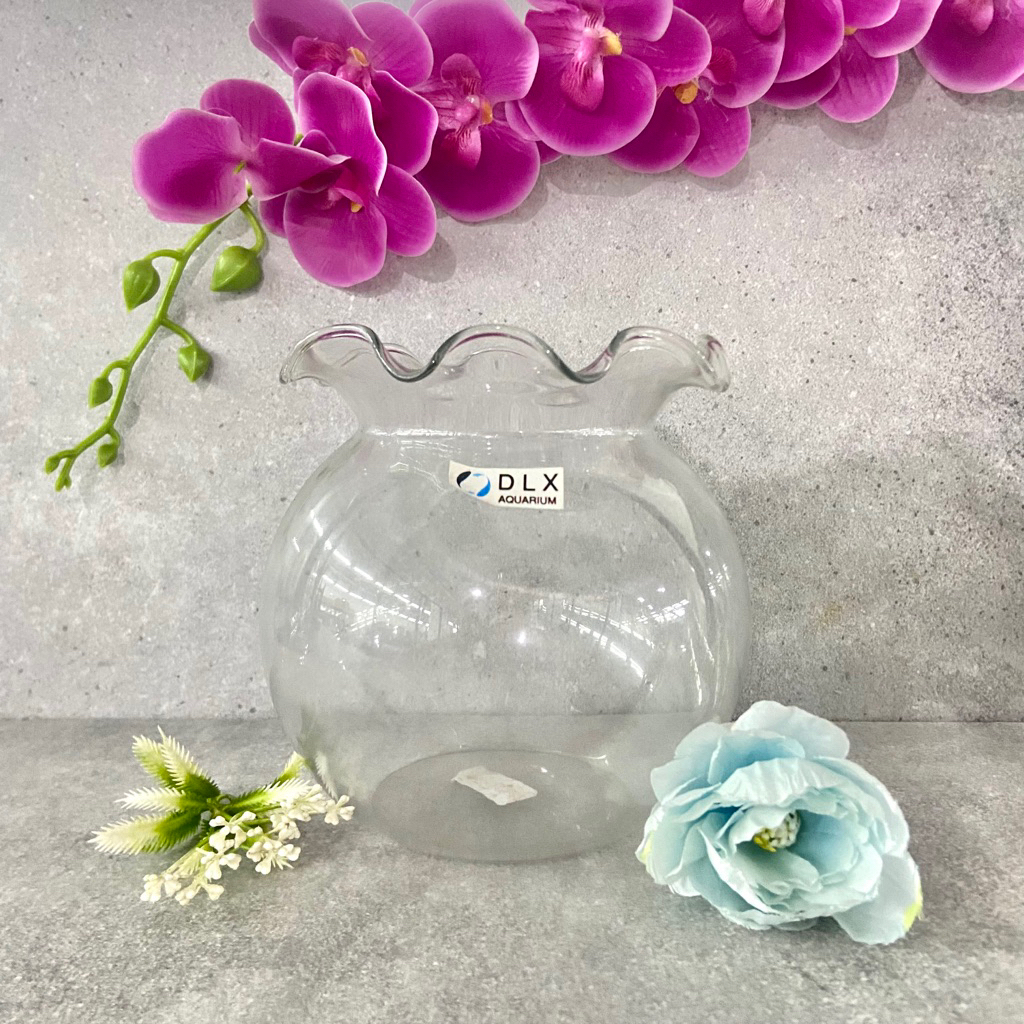 DLX AQUARIUM KACA SHELLA 1,5Ltr