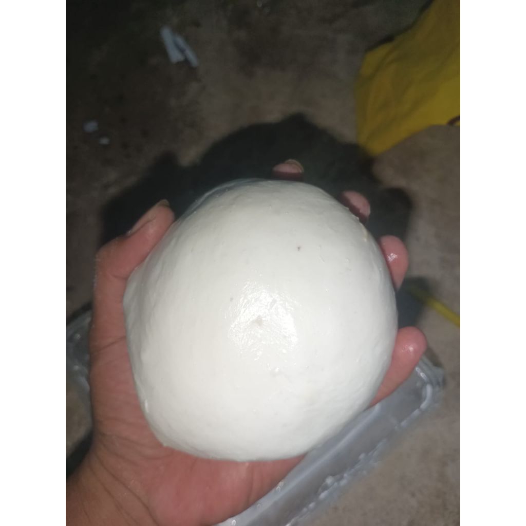 pulut burung super lengket siap pakai