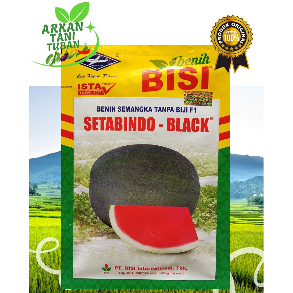 BENIH SEMANGKA TANPA BIJI F1 SETABINDO BLACK 20 GRAM - BENIH BISI CAP KAPAL TERBANG