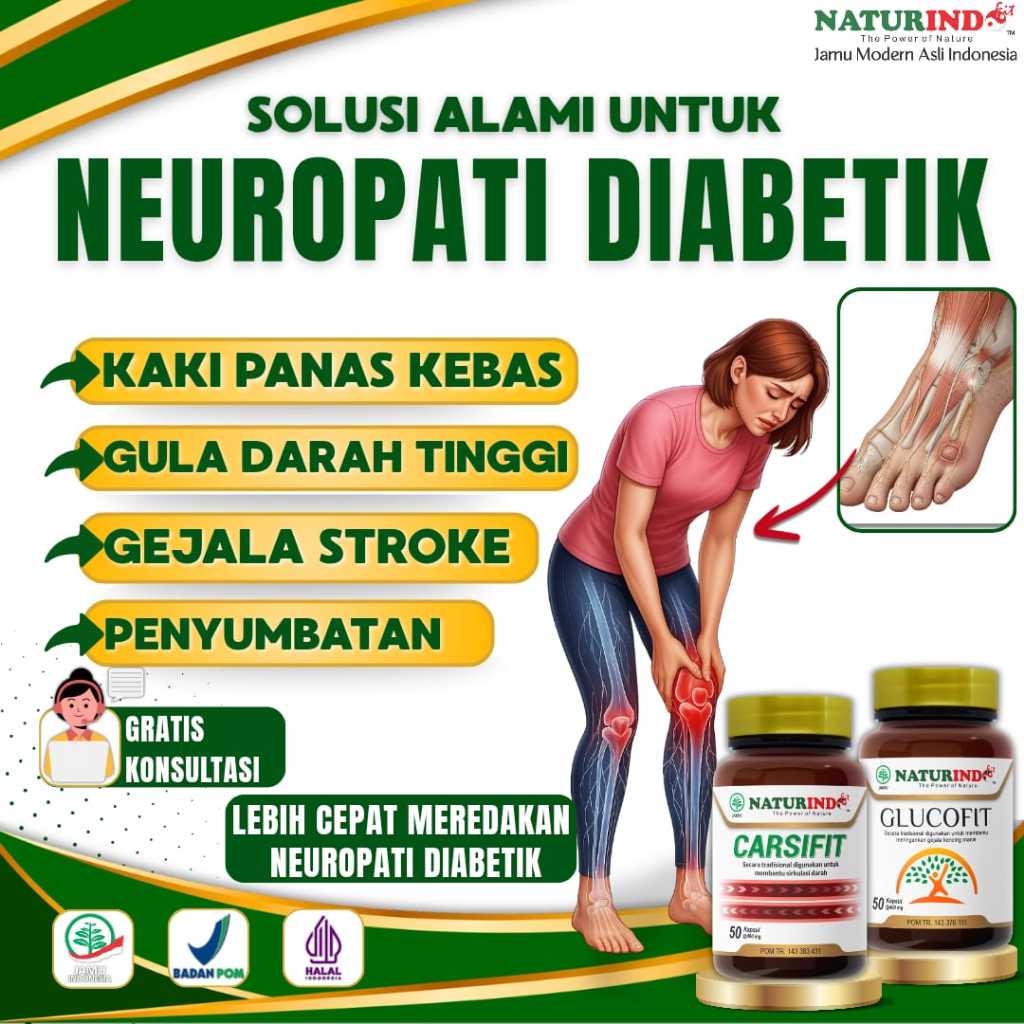 Herbal Neuropati Diabetik Kerusakan Saraf Diabetes Perifer Sensorik Otonom Motorik