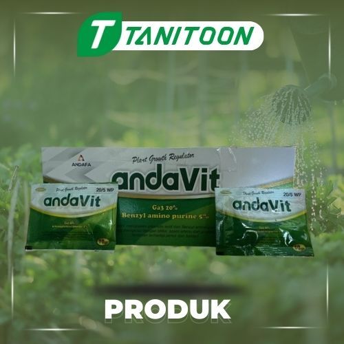 ANDAVIT 10GR ZPT  GA3 20%