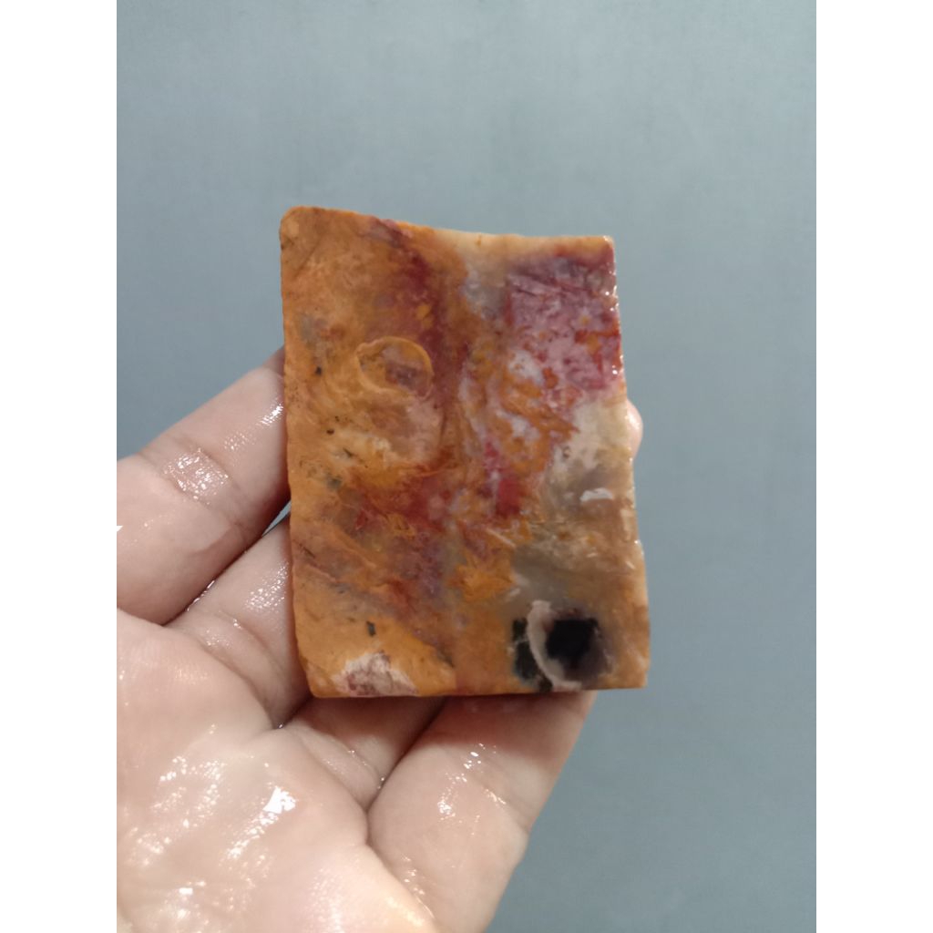 Rough Bahan Fosil Kelor Merah