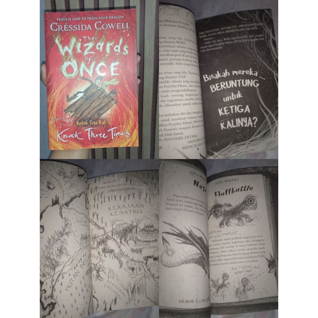 The Wizard of Once Book  | Fantasy Children Book | Preloved