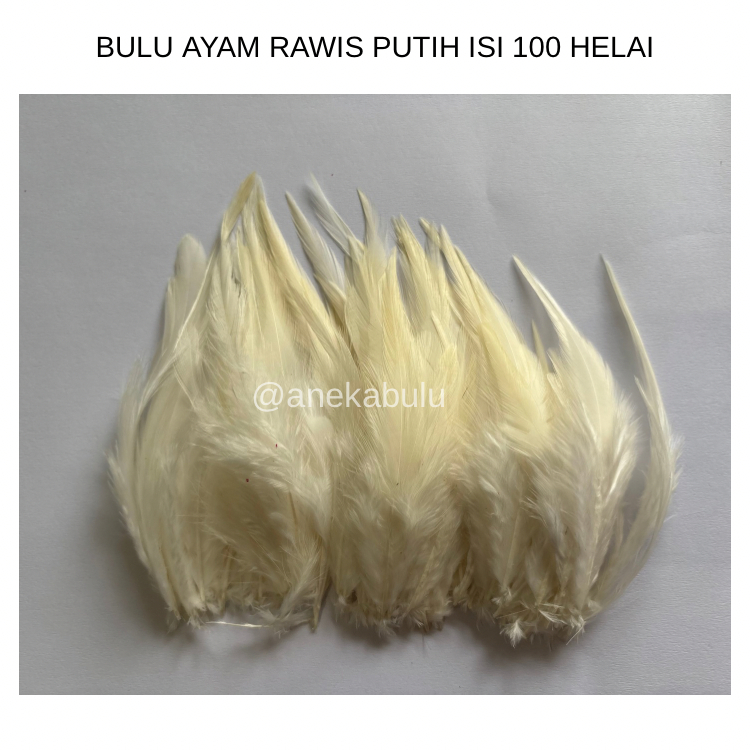 Bulu Ayam Rawis Warna Putih isi 100 helai untuk Umpan Pancing Aksesoris Hiasan Kepala Bando Bulu