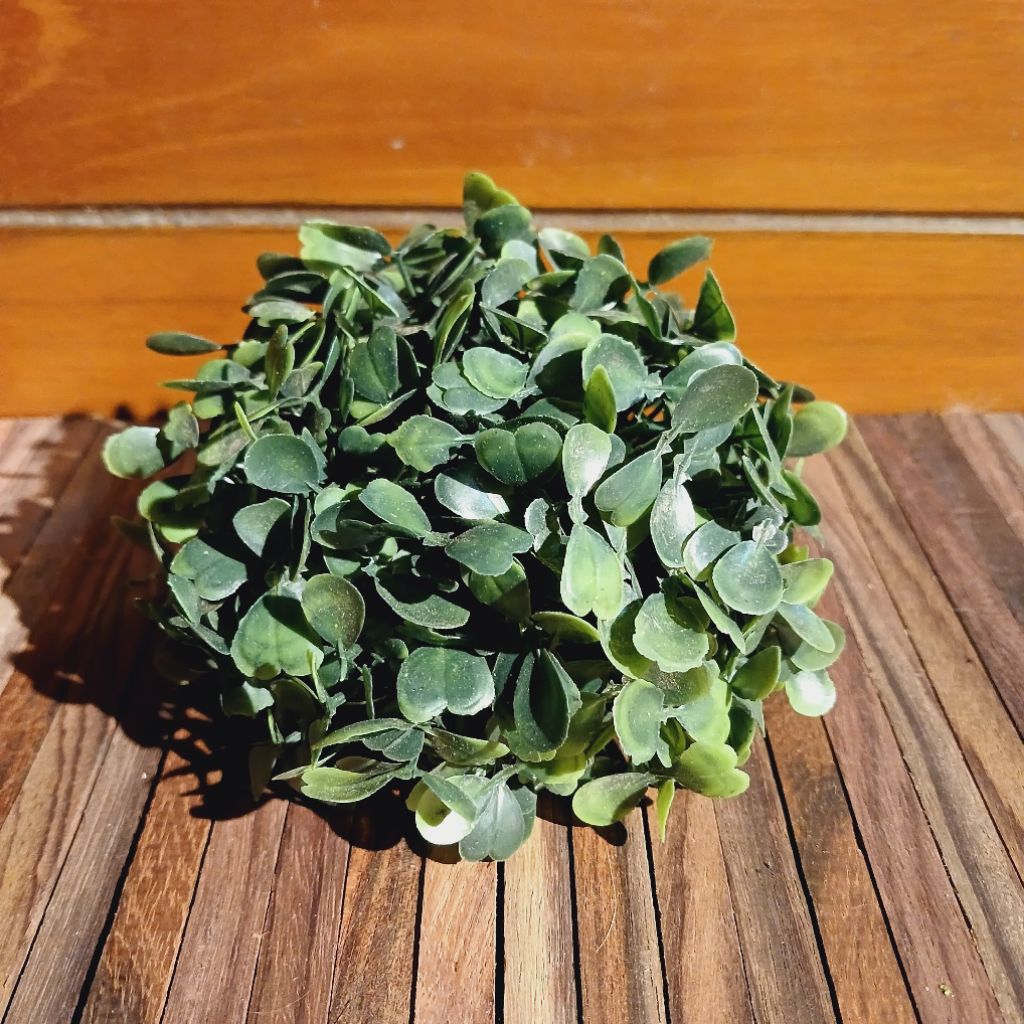 Rumput aquarium plastik