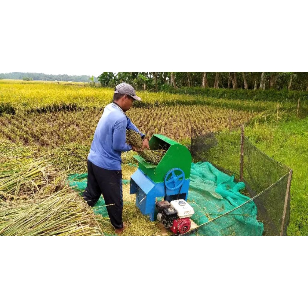 perontok padi minimalis murah