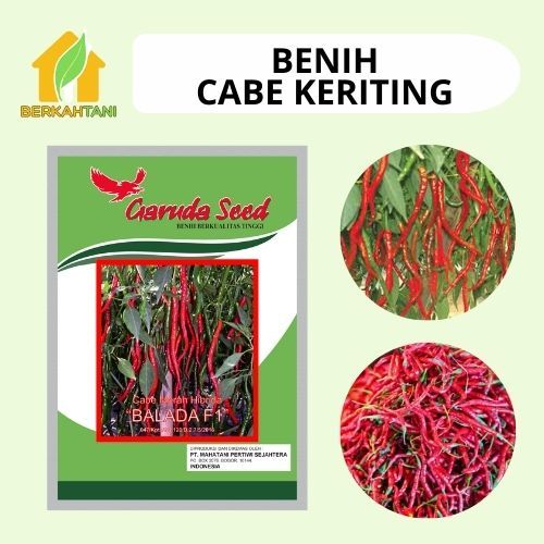 Benih Cabe Keriting Bibit Cabe Keriting Sempurna Garuda Seed