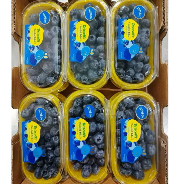 Blueberry Driscolls Jumbo / Buah Blueberry Import Fresh 200gram