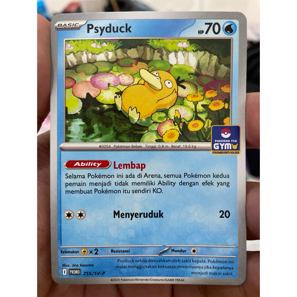 Psyduck GYM - TCG Pokemon Indonesia