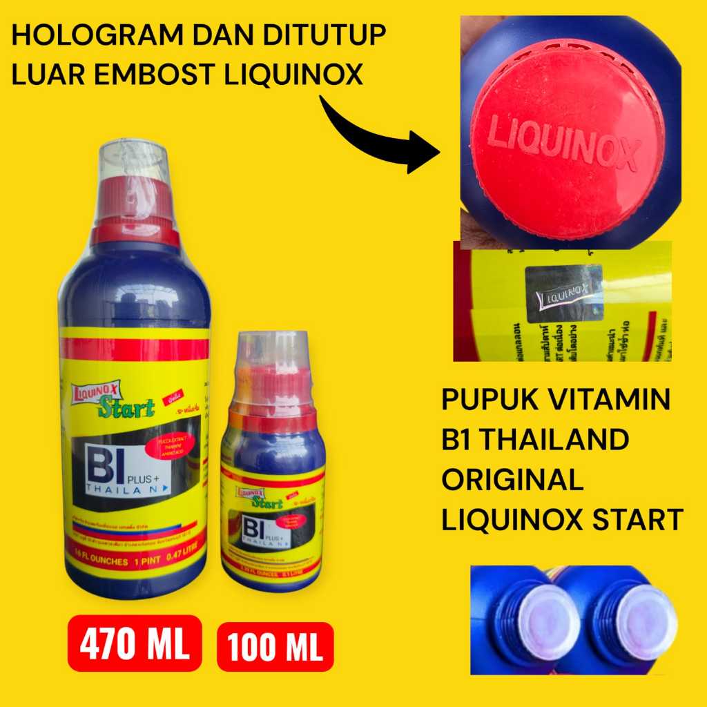 Vitamin B1 Thailand Import Original Kemasan Pabrik