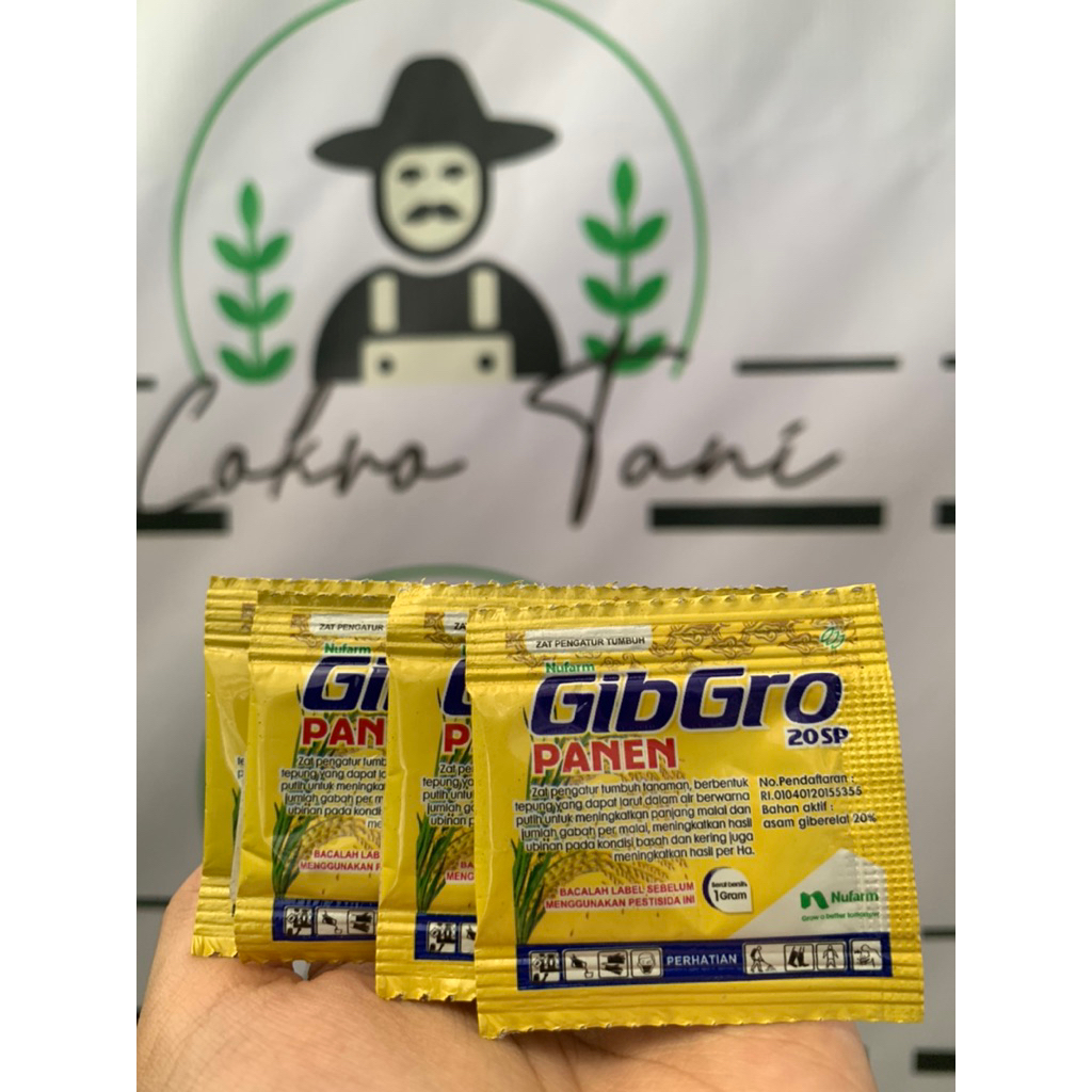 GIBGRO 20SP Zat Pengatur Tumbuh