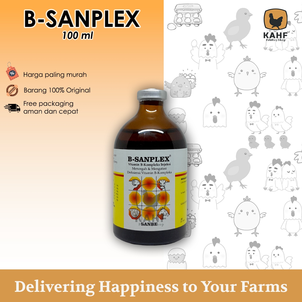 B Sanplex 100 ml Injeksi Vitamin B Kompleks Hewan