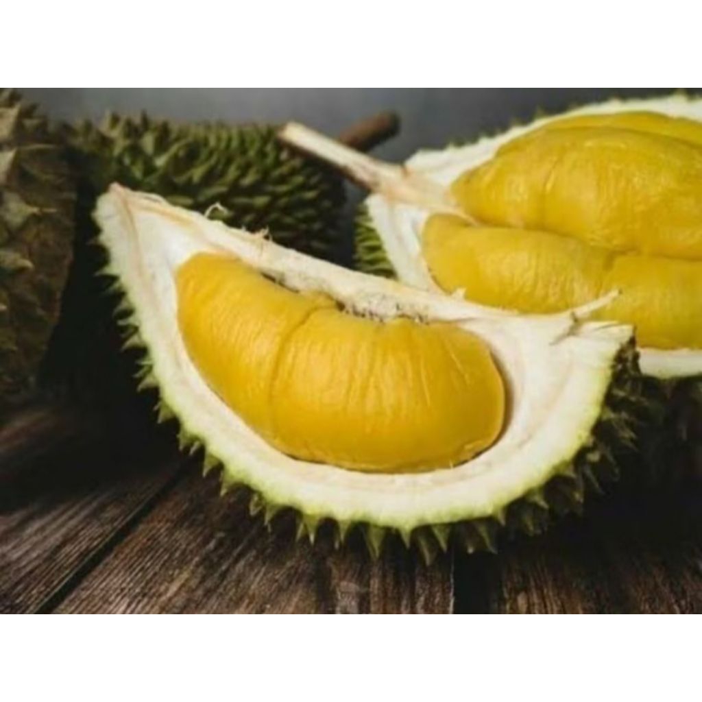 Durian Musang King Premium Fresh Utuh Satu Butir - GGS