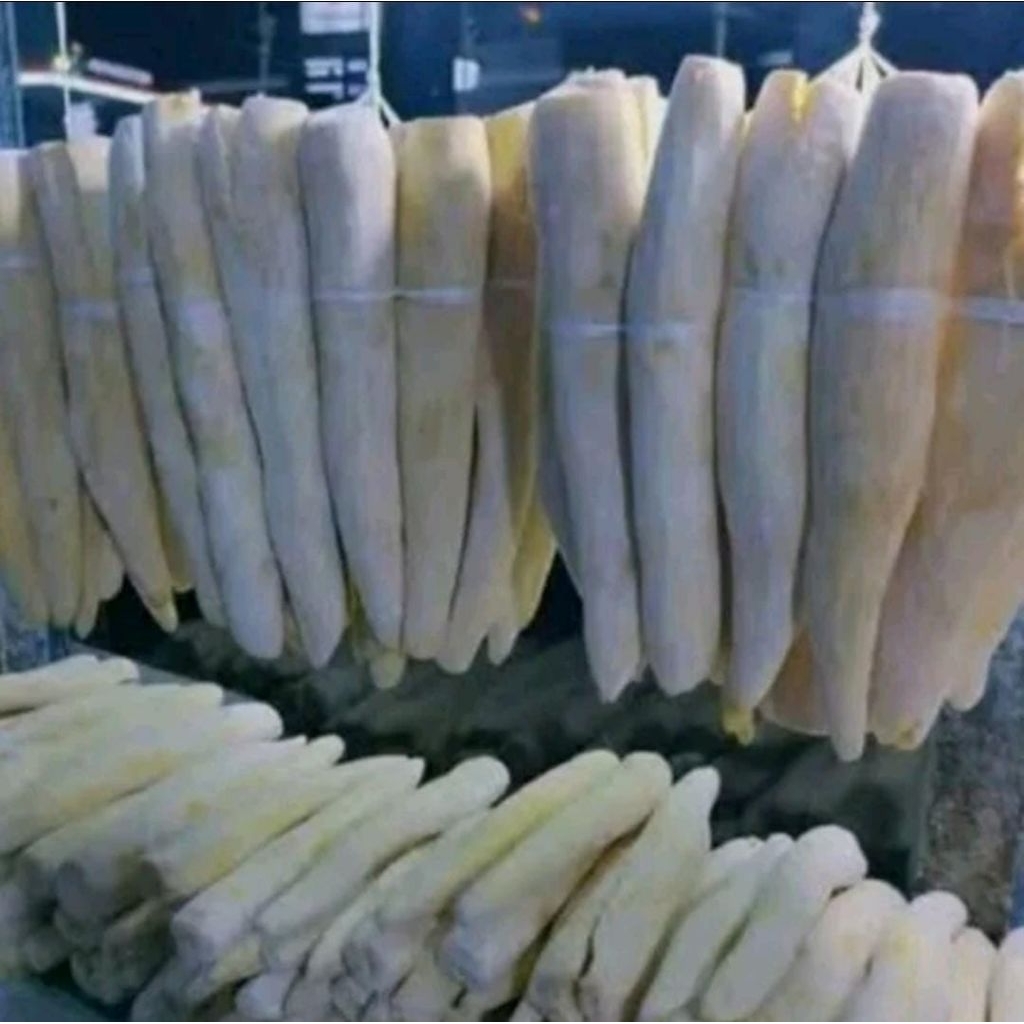 Peuyeum / Tape Singkong Mentega / Kuning Khas Putra Budiasih Manis dan Legit