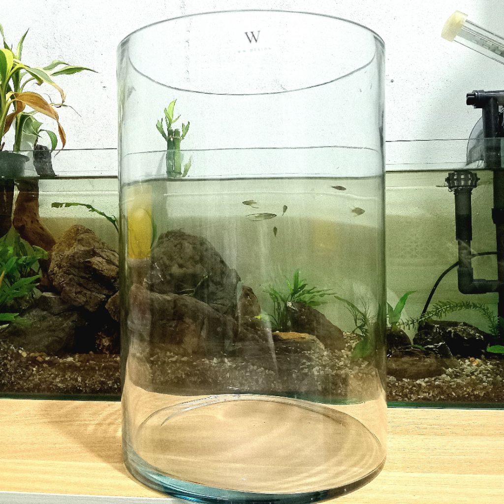 Aquarium Terrarium DLX Big Bambu B 300 / DLX Aquarium