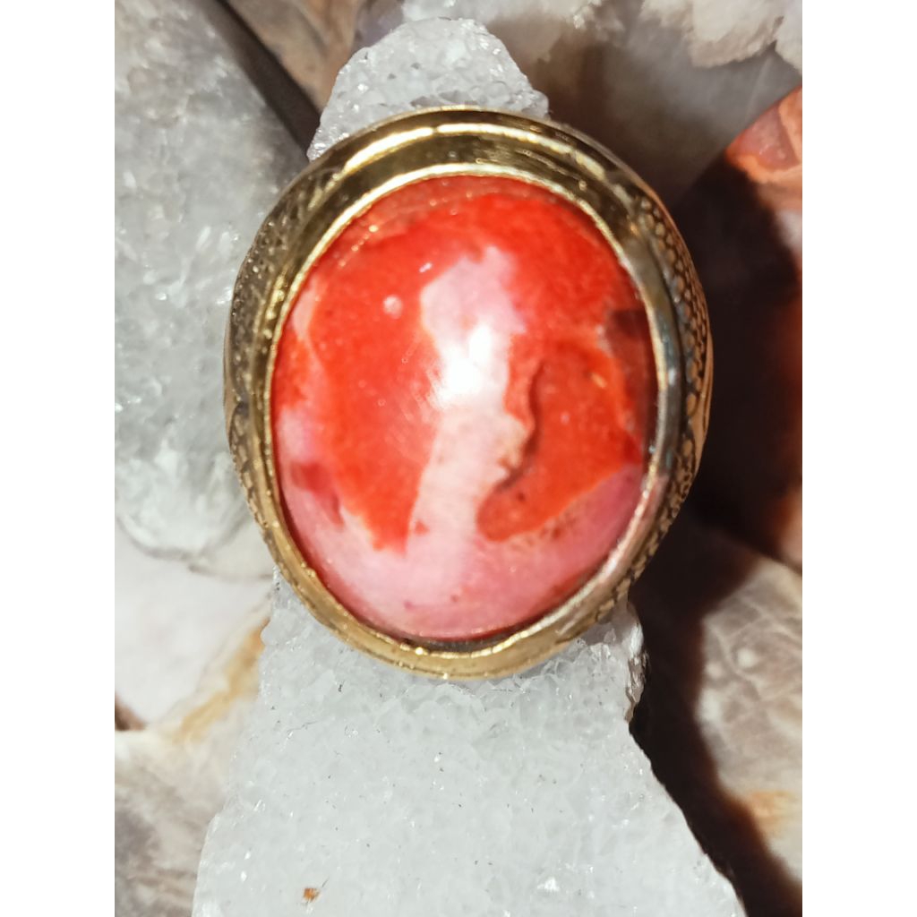 Red coral marjan natural original spesial