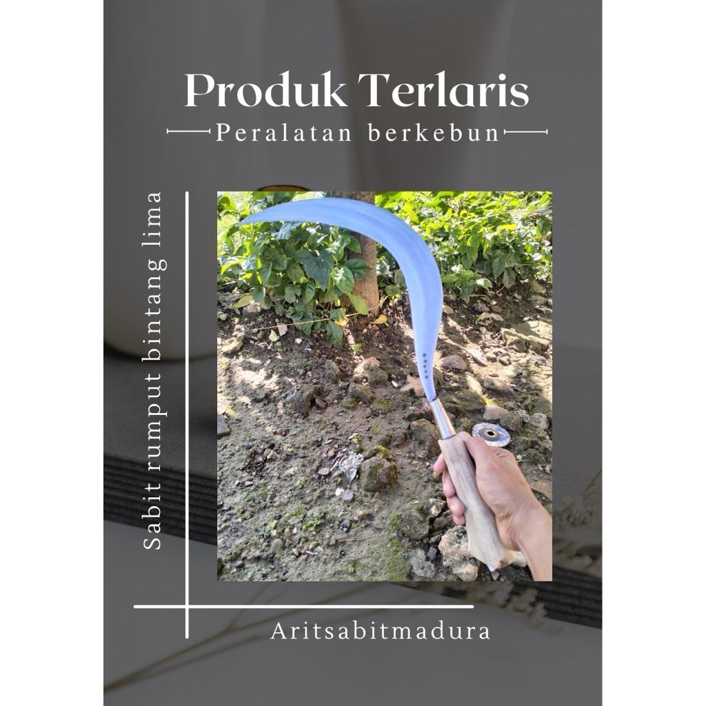 sabit rumput bintang lima asli Madura