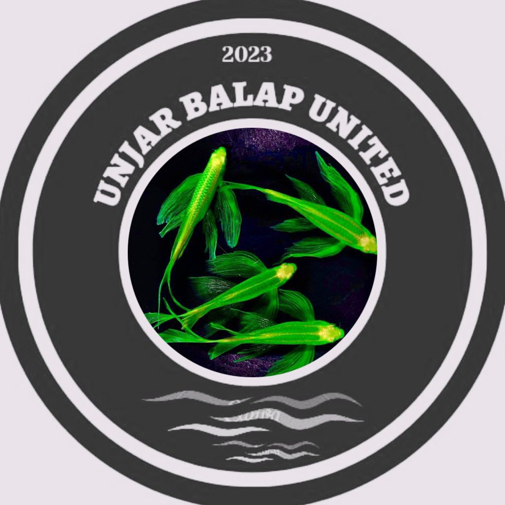 3pcs zebra danio hijau sleyer 2,5 accessories aquarium