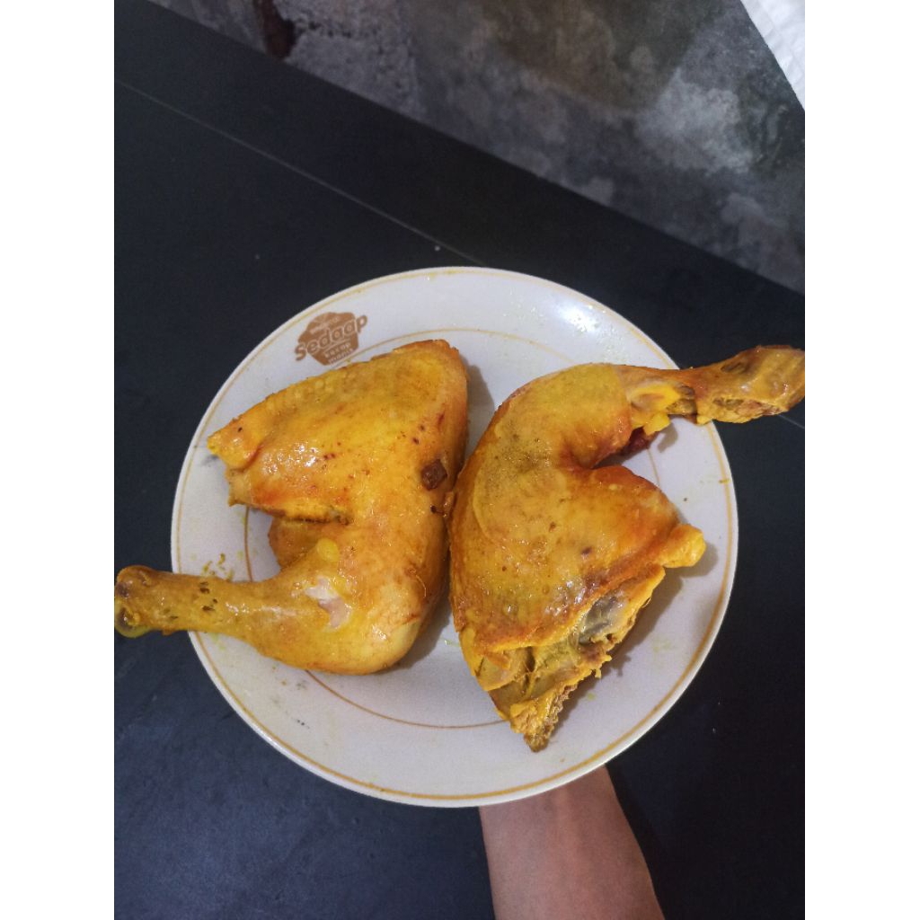 Titik Frozen | Ayam Ungkep Bumbu Kuning Paha dan Sayap Ungkep