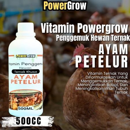 Vitamin Ayam Petelur Cepat Besar Vitamin Ayam Agar Cepat Gemuk Vitamin Ayam Penambah Nafsu Makan