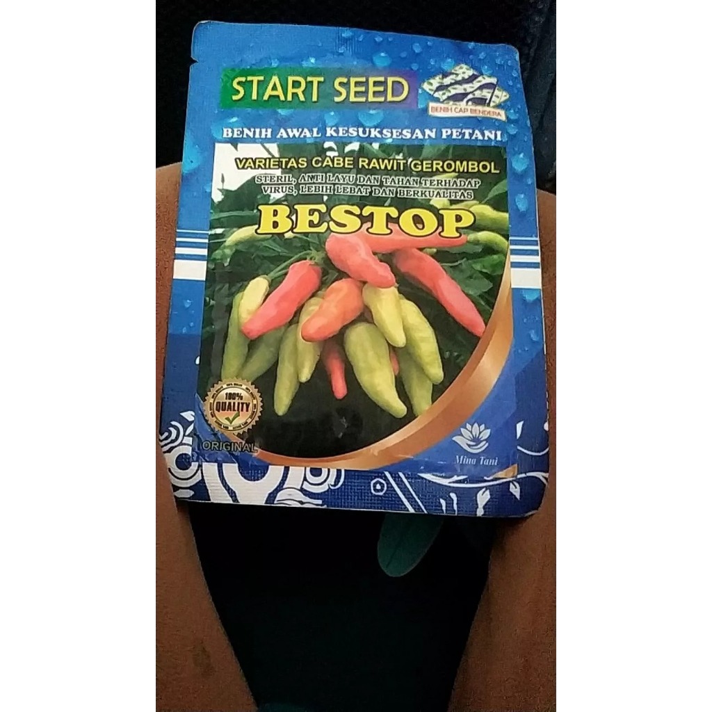 Benih Cabe Rawit ORIRAME F1 Tahan Virus Buah Berdompol 10gr 2000 Biji