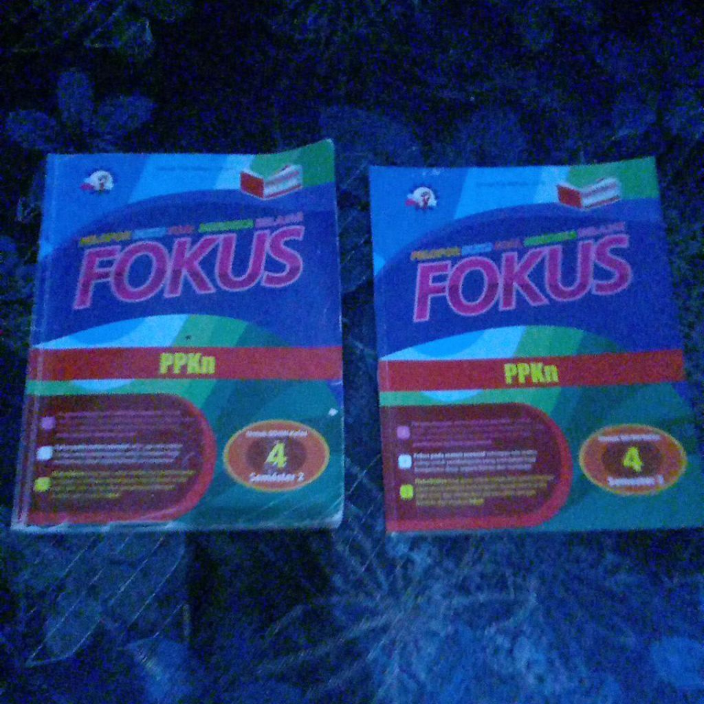 FOKUS PPKN KELAS 4 SEMESTER 2 KURIKULUM MERDEKA