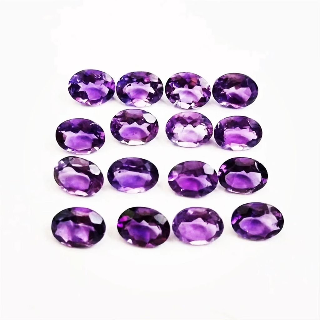 Kecubung Ungu Kalimantan Kecubung Ungu Pangkalanbun