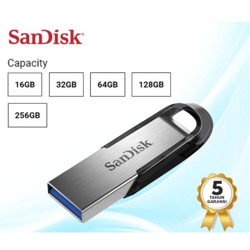 Flashdisk Sandisk 256GB Original