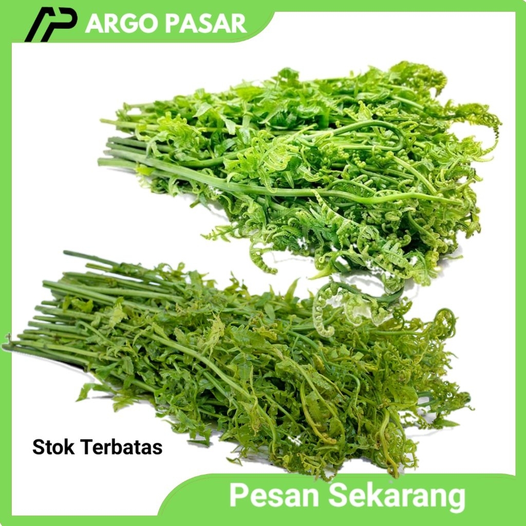 Sayur Pakis Daun Paku Segar 250gr Lampung Segar untuk Masakan Anda