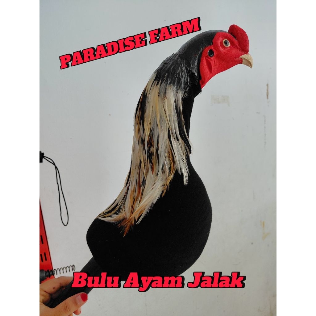 Boneka Kepala Ayam Jago Setengah Body Dengan Bulu Ayam Asli