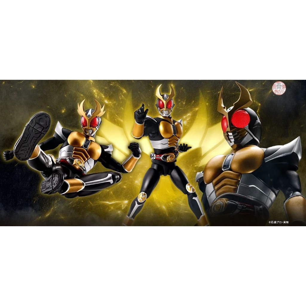 S.H.Figuarts Shinkocchou Seihou SHF SS Kamen Rider Agito Ground Form 25th Anniversary Version