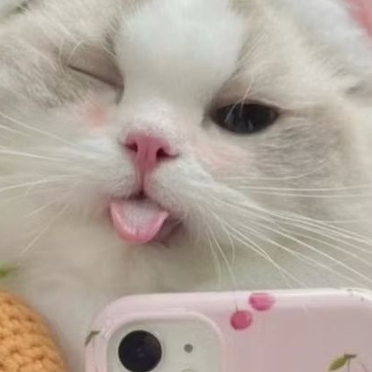 link co dress cantik 99