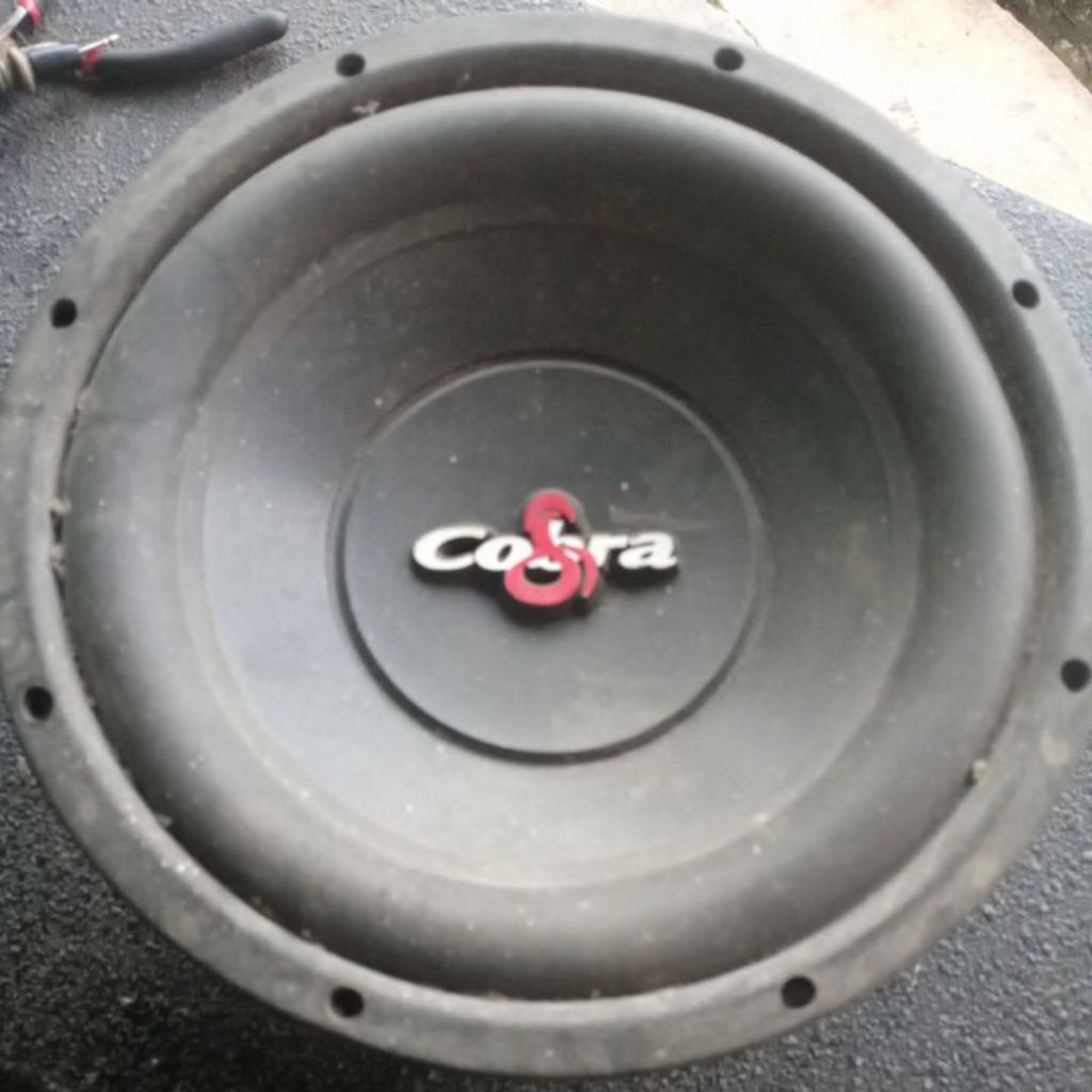 speaker 10 inch Doble coil cobra CB1029 bekas