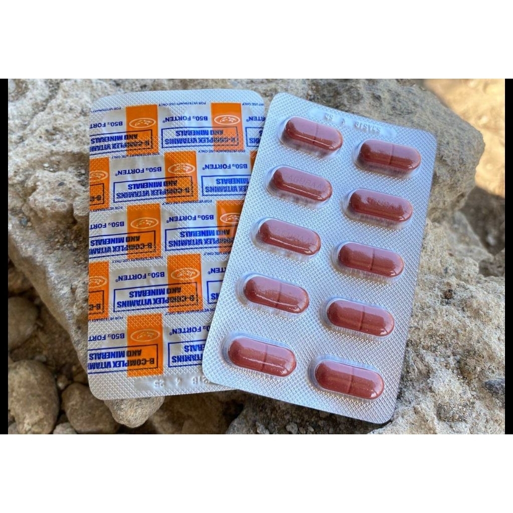 B50 forten b complex vitamin ayam laga