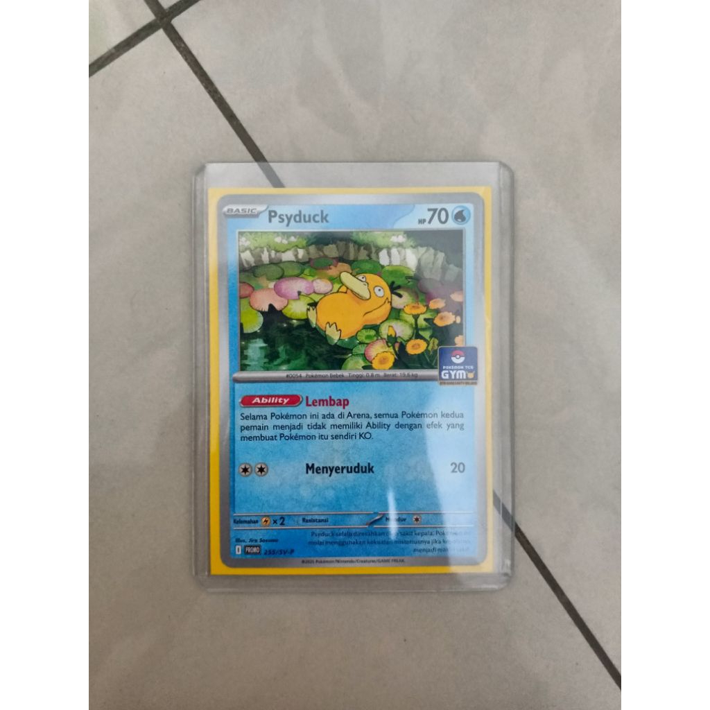 Psyduck ability lembab GYM