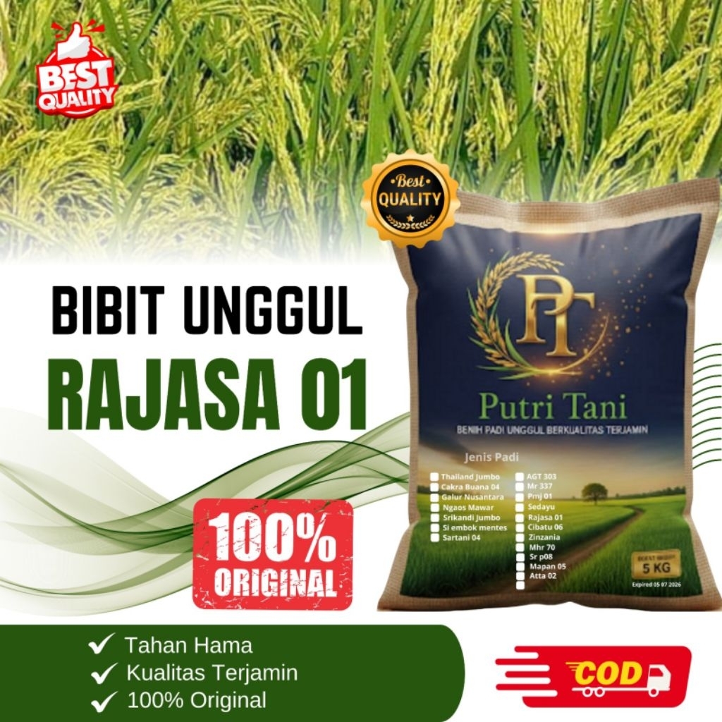 BIBIT PADI RAJASA 01 KEMASAN 5KG